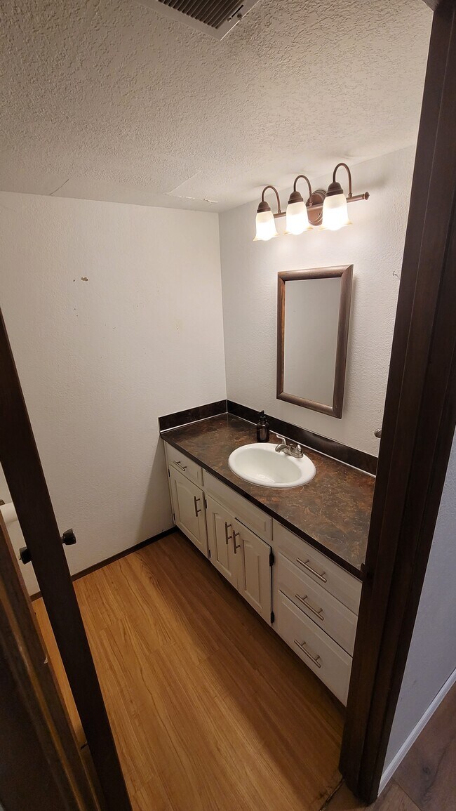 Downstairs Bathroom - 9905 157th St E