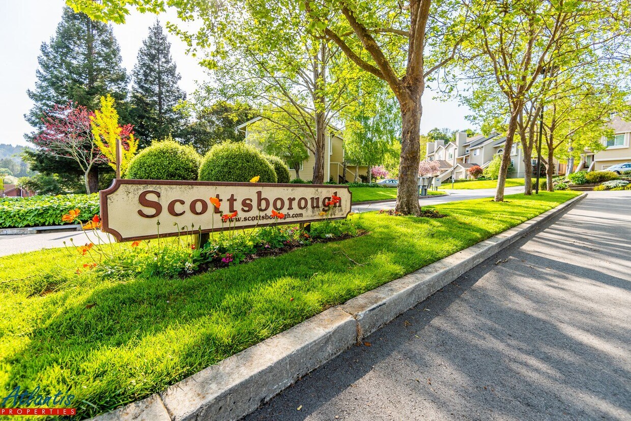 Primary Photo - Beautiful Scotts Valley Townhouse | Great ...