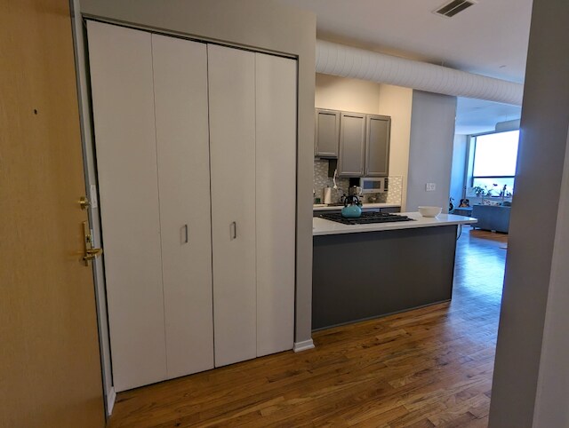 Entrance closet - 910 S Michigan Ave