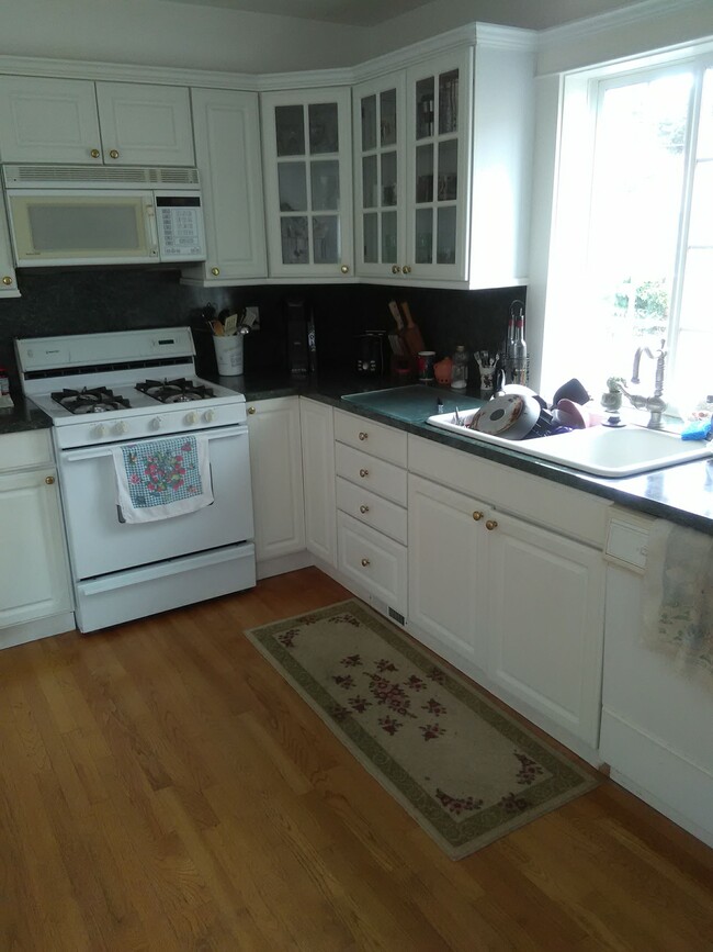 Kitchen - 1209 S Downing St