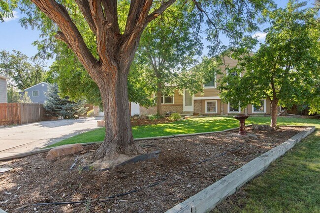 Foto del edificio - Beautiful 4 bed, 2 bath on Cul-de-sac  w/ large yard available in Central Loveland