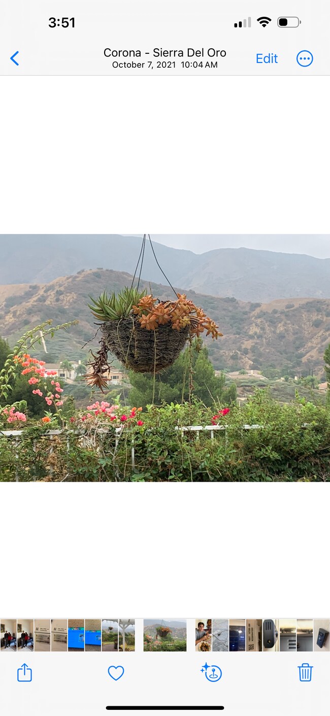 Building Photo - 3350 Deaver Dr