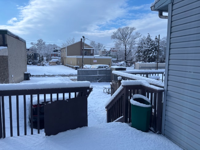 Photo - 230 Cumberland St House