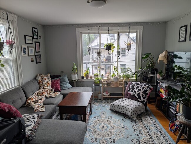 Foto del edificio - 11 Kearney St