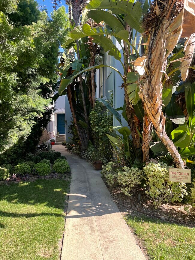 Beautiful garden path to stairs - 1422 Reeves St
