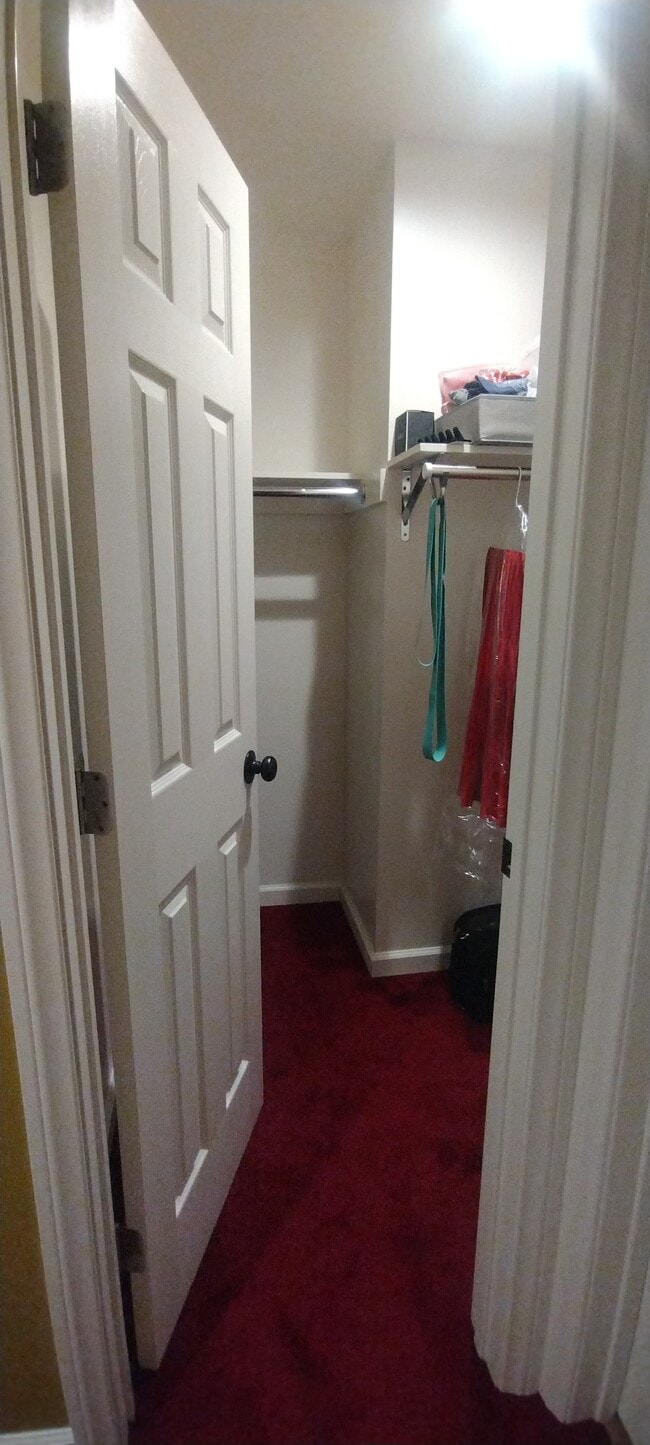 Master walk in closet - 21323 Conradi Ave
