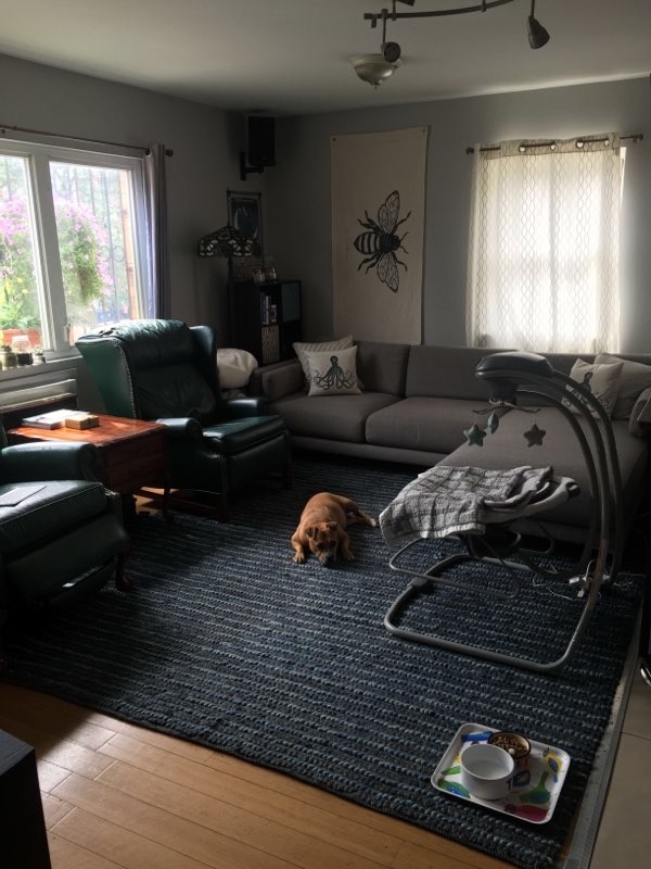 Living Room - 1027 Halsey St