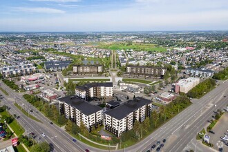 Building Photo - Cadence Apartments