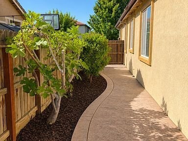 Building Photo - 1482 Moonbeam Way