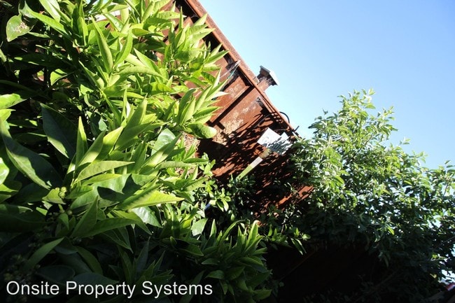 Foto del edificio - 6 br, 3 bath Apartment - 221 Argonaut Ave