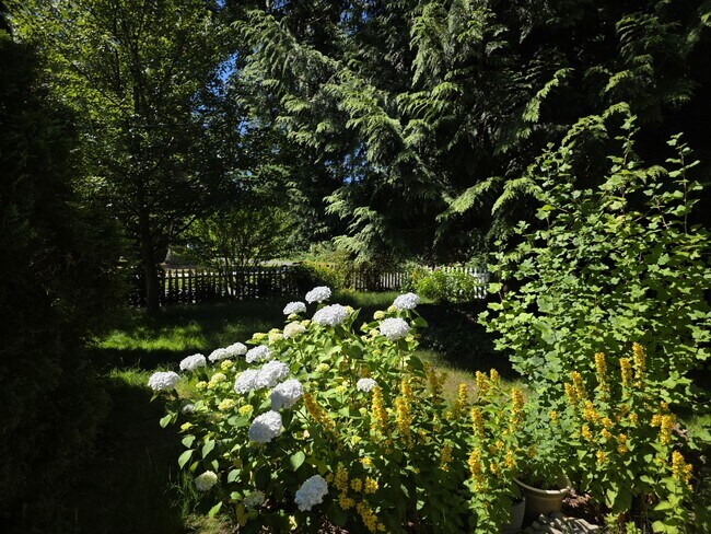 Foto del edificio - 266 Boundary Bay Rd