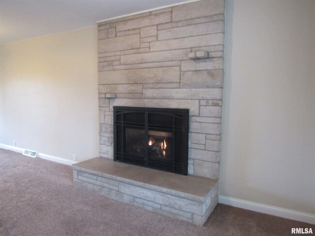 Building Photo - 233 Manor Dr