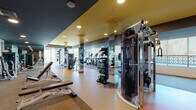 This contemporary fitness center is thoughtfully designed to support a full range of workout routines in a vibrant, energizing environment. The space features a striking two-tone ceiling design, with bold yellow and dark charcoal sections that add a dynamic visual character throughout. Recessed lighting ensures the entire floor is well-lit, complemented by natural light streaming through large windows along the perimeter walls.

The cardio zone is lined with a row of treadmills and elliptical machines, all positioned along a mirrored wall that amplifies the sense of space and allows users to monitor their form. Mirrored columns are strategically placed throughout, further enhancing the open, airy feel of the facility.

The free weights area includes a comprehensive rack of dumbbells and multiple Matrix-brand adjustable benches, catering to a wide variety of strength training needs. A dedicated functional training zone houses cable machines and a medicine ball station, alongside kettlebells and resistance tools for dynamic workouts.

A separate strength section features a Matrix squat rack with a barbell and weight plates, set on a color-blocked performance floor. Motivational wall art and typography add personality and energy to the space. A built-in storage unit with folded towels and cabinetry provides convenient amenities. Lush potted plants near the windows introduce a refreshing, natural touch to this well-appointed facility.