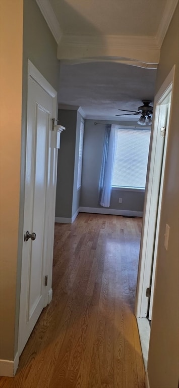 Building Photo - 17-19 Bowditch St