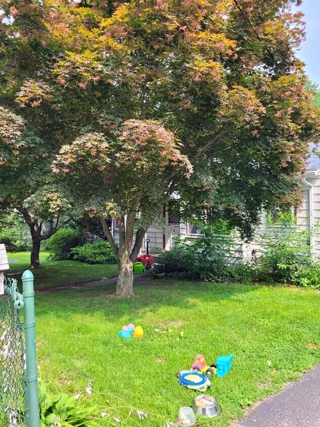 Foto del edificio - 320 Center St