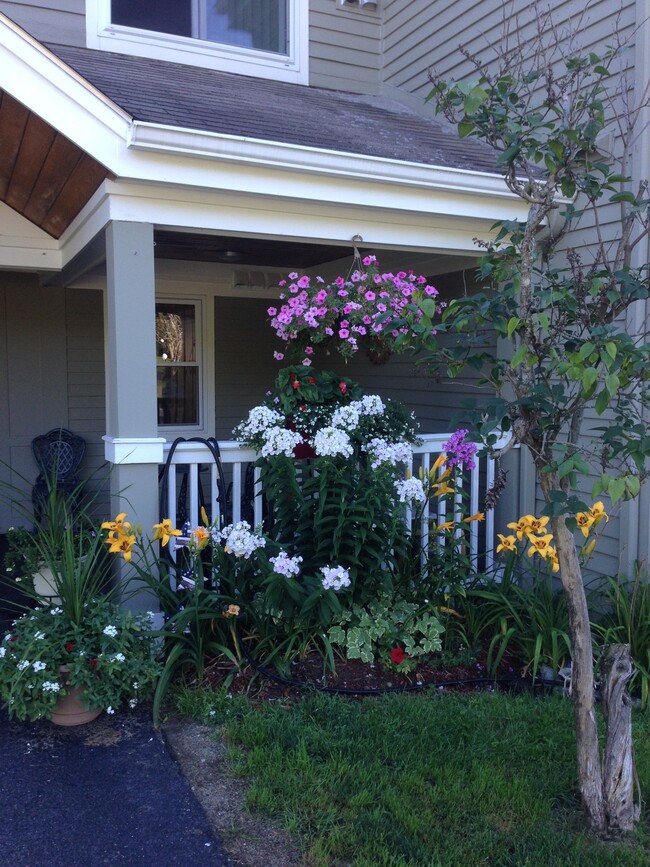 Landscaped Exterior - 29 Preble Rd