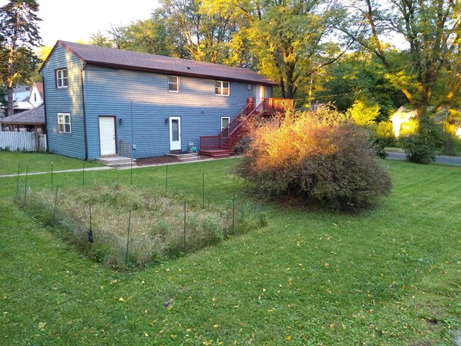 Side yard - 1718 Fisher St