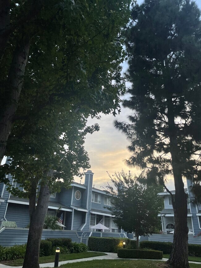 Foto del edificio - 8115 Surfline Dr