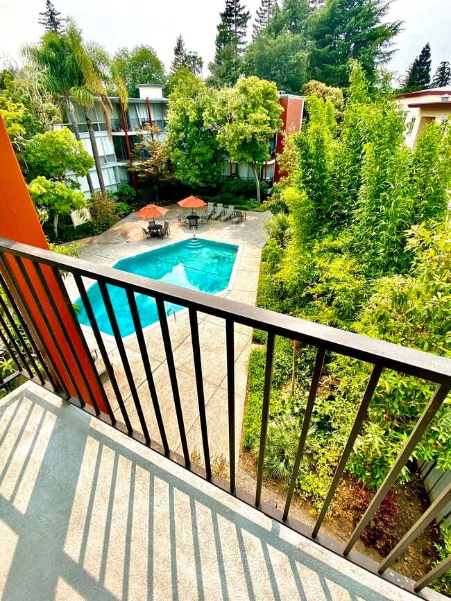 Balcony view overlooking pool and gardens - 2 Clark Dr