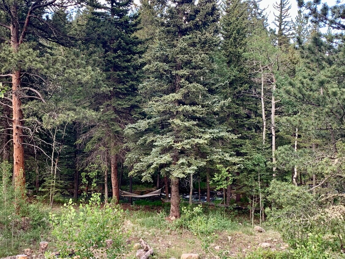 49 Big Jack Court Unit Apartment, Nederland, CO 80466 Apartments