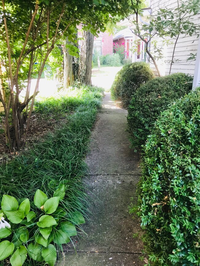 Side walkway - 416 N Limestone