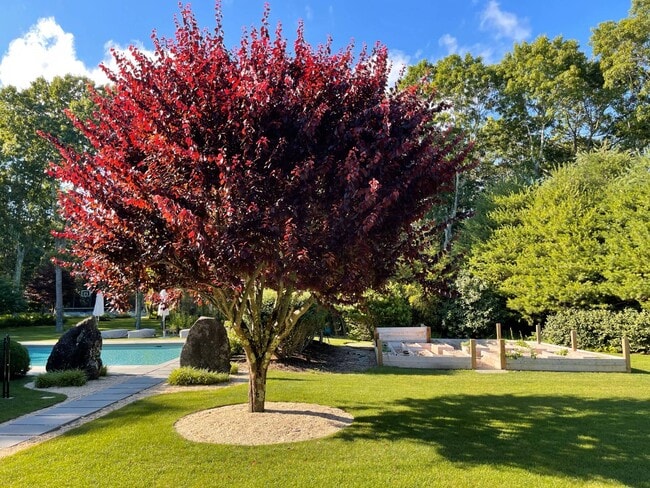 Foto del edificio - 138 Merchants Path