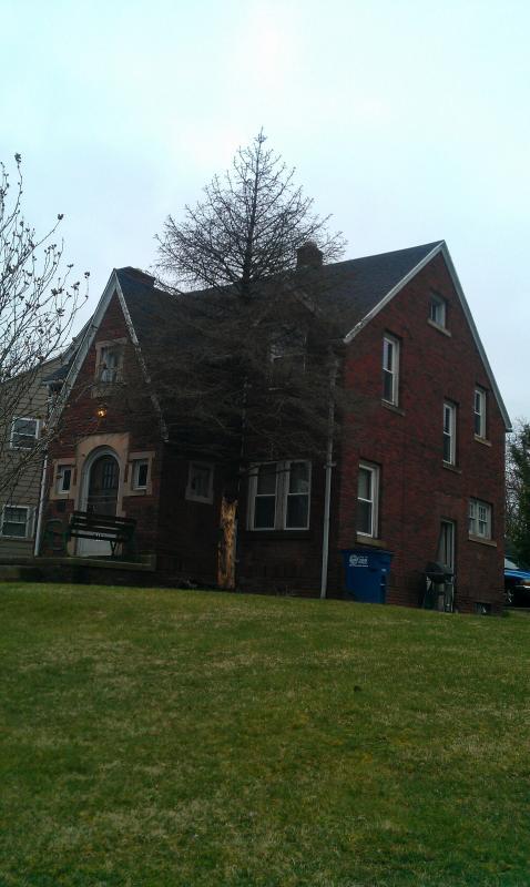 Primary Photo - 2119 Kensington Rd.
