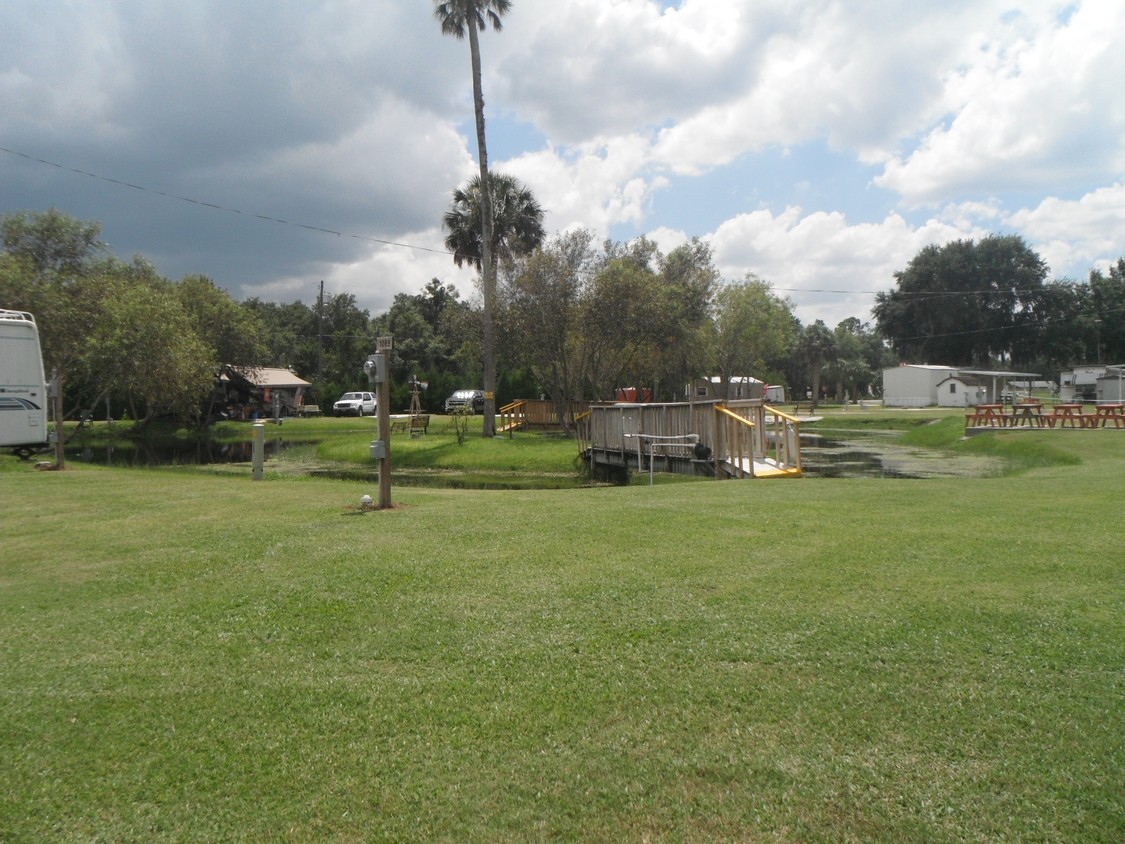 Building Photo - The Oasis
