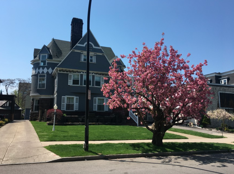Primary Photo - Summer St Apartments