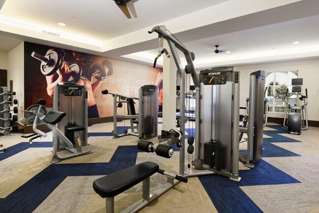 Your Fitness Hub - Vistara