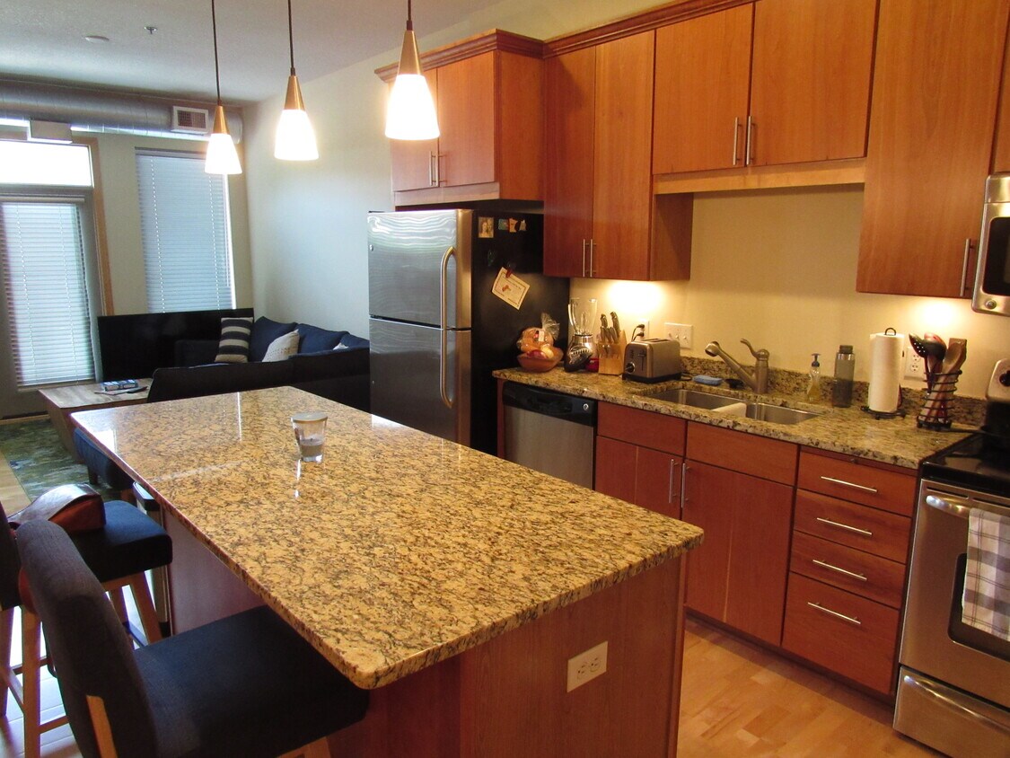 Granite and SS appliances - 240 Spring St