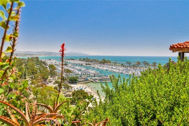 Foto del edificio - 33932 Silver Lantern St