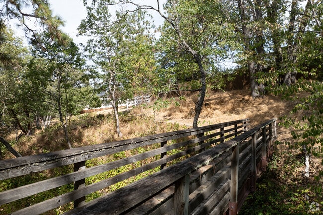 Trails and bridges connect the parks of Ashland.