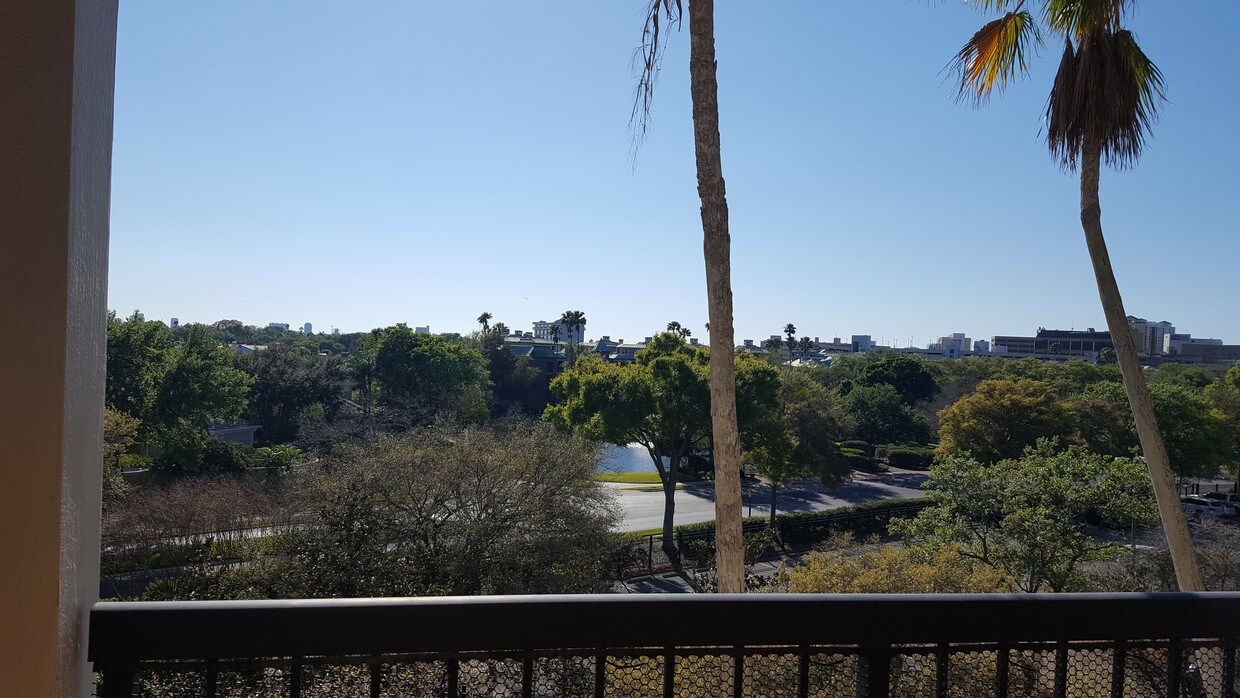 1000 S Harbour Island Blvd, Tampa, FL 33602 Condo for Rent in Tampa