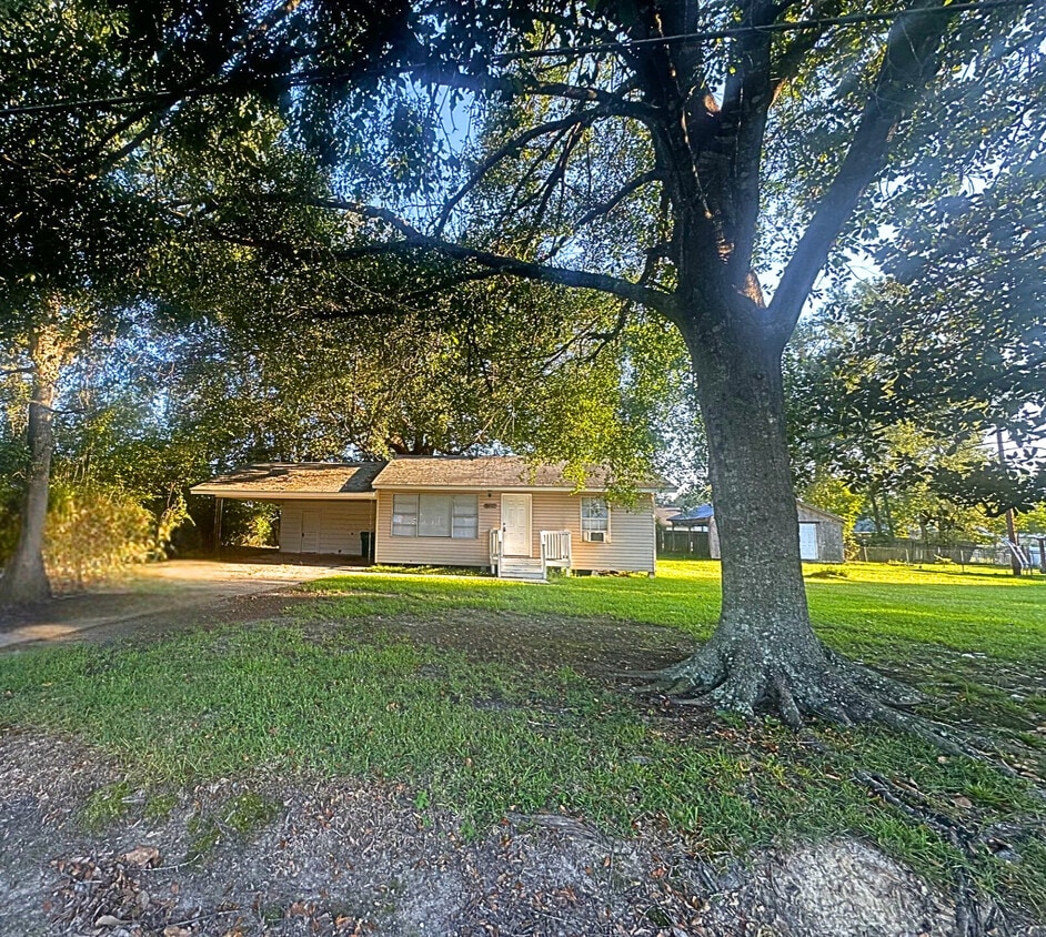 Primary Photo - 30121 Julia St