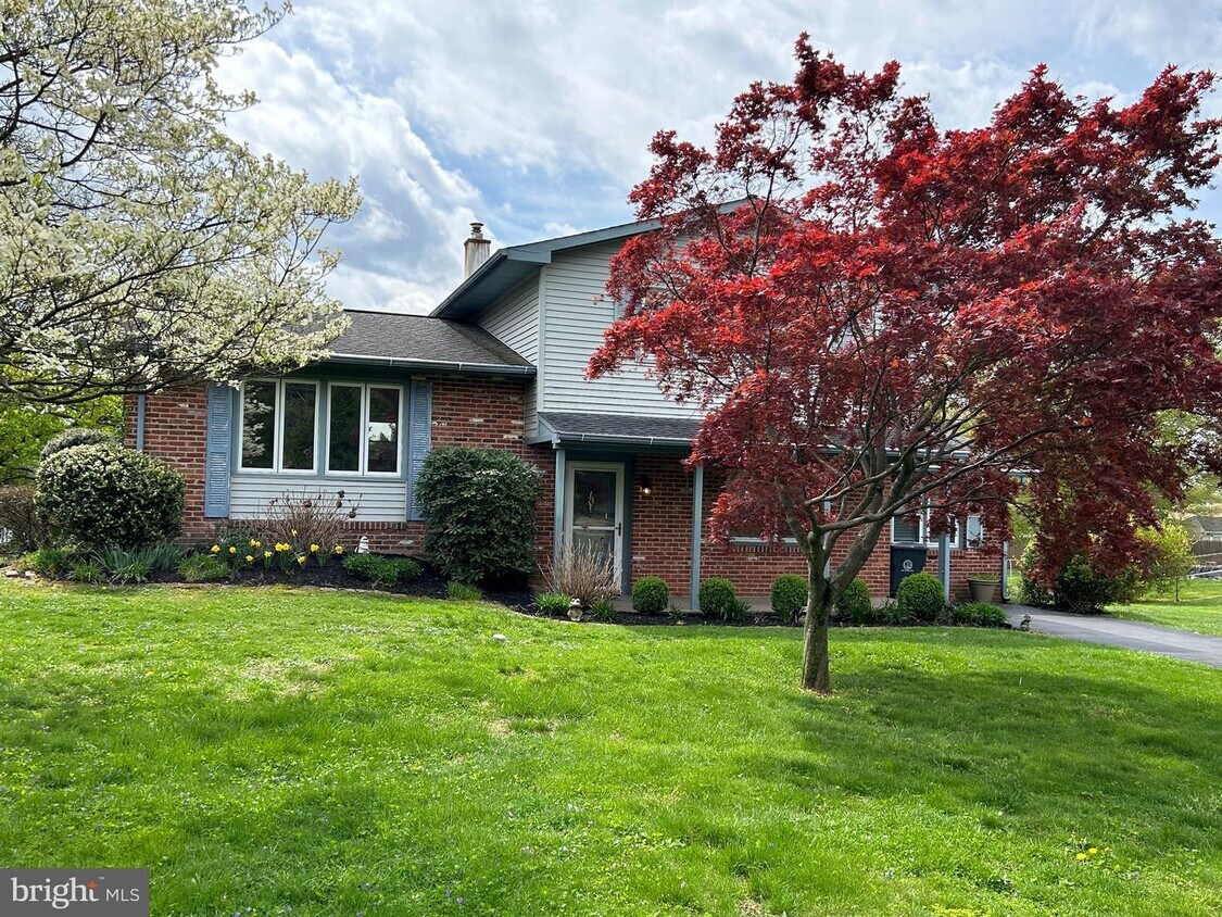 Primary Photo - 244 Richboro Newtown Rd