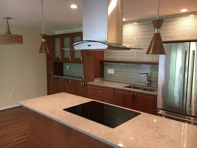 Quartz countertops, all stainless appliances - 733 Lake St S
