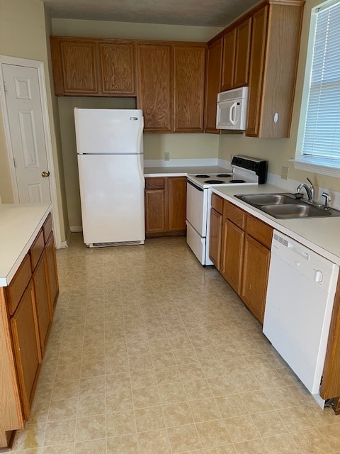 Fotografía del edificio - 343 Stone Hill Dr