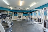 This fitness center offers a comprehensive workout environment designed to support a wide range of exercise routines. The space is defined by its bold, tri-color wall design — featuring horizontal bands of teal, black, and beige — which gives the room a dynamic and energetic atmosphere. Durable rubber flooring covers the entire area, providing a safe and supportive surface for all types of physical activity.

The cardio section is well-appointed with multiple TRUE-brand treadmills and elliptical machines, each positioned for comfortable use with mounted flat-screen televisions nearby for entertainment during workouts. The strength training area features several cable and weight machines, including multi-station units and dedicated bench press setups, offering a thorough selection for full-body conditioning.

Large windows line the walls, inviting ample natural light into the space and providing views of the surrounding outdoor greenery. Floor-to-ceiling mirrors are strategically placed to expand the visual sense of the room and allow users to monitor their form. A ceiling fan provides additional ventilation and comfort.

The layout is thoughtfully organized, with open floor space in the center to allow for flexibility and ease of movement between stations. An exit door provides direct access, and the overall design ensures a functional, motivating environment for daily fitness use.