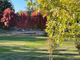 Building Photo - 97 Martin Dr