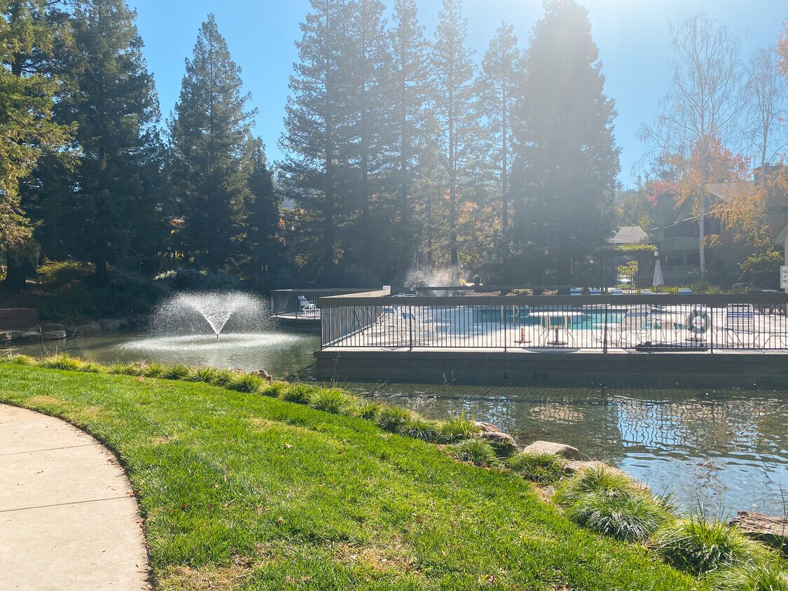 2310 La Terrace Cir Unit 175, San Jose, CA 95123 Condo for Rent in