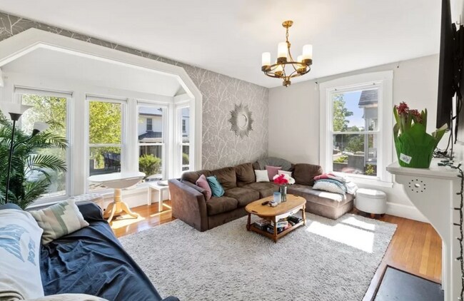 Living room - 3 Ware St