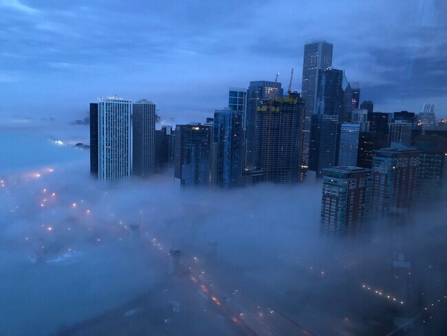 Foto del edificio - 505 N Lake Shore Dr.