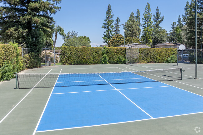 Tennis Court - Cedar Commons