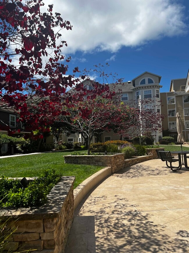 Photo - 555 10th St Apartment