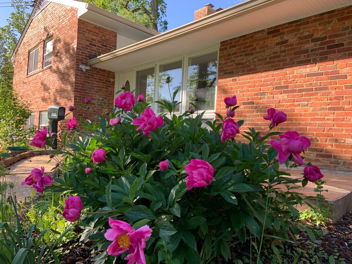 Photo - 7602 Cosgrove Pl (Springfield, VA)