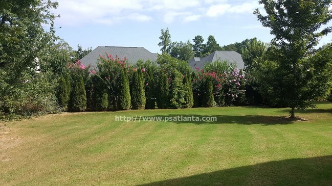 Foto del edificio - 7987 Applemist Dr