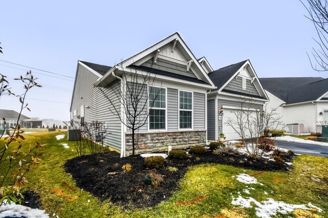 Building Photo - 1585 Nettle Ct