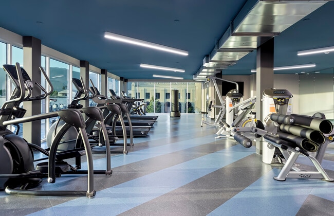 Gimnasio con entrenamiento de cardio y pesas libres - The Orchard