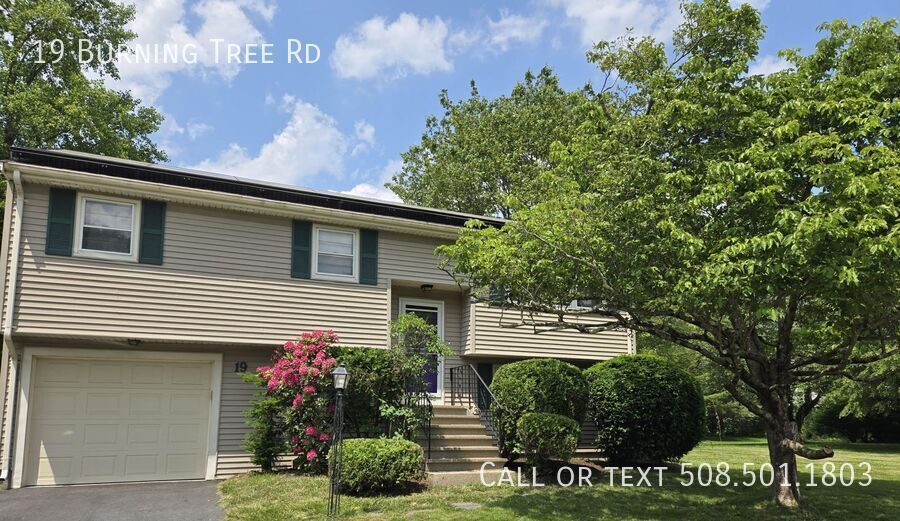 Photo - 19 Burning Tree Rd-